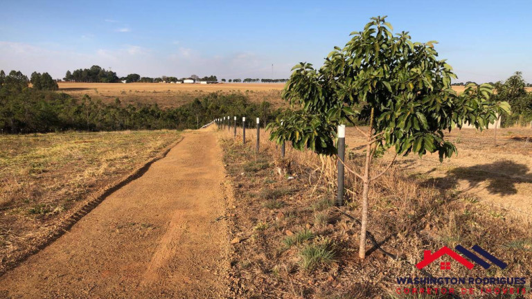 Imagem Chácara com 6 Quartos à Venda, 20.000 m² em Olhos D'água - Alexânia