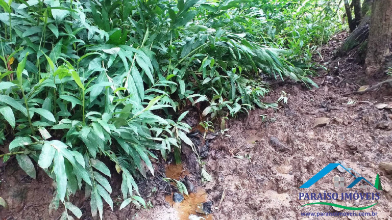 Imagem Chácara à Venda, 7 m² em Centro - Paraisópolis Imagem Chácara à Venda, 7 m² em Centro - Paraisópolis