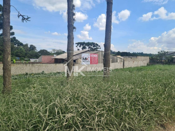 Imagem Terreno à Venda, em Planta Laranjeiras - Piraquara Imagem Terreno à Venda, em Planta Laranjeiras - Piraquara