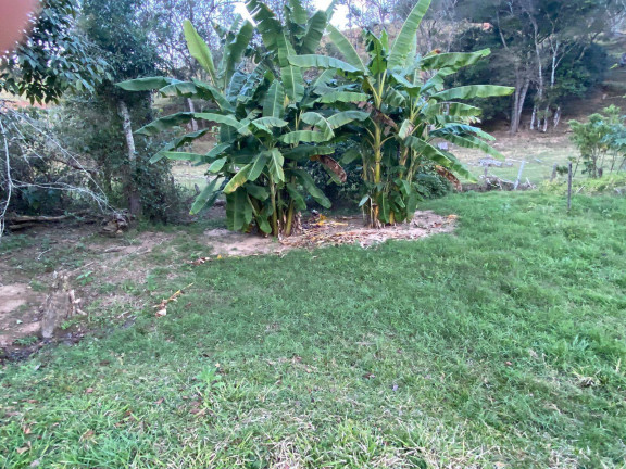 Imagem Casa com 3 Quartos à Venda, 3.500 m² em Ouro Fino