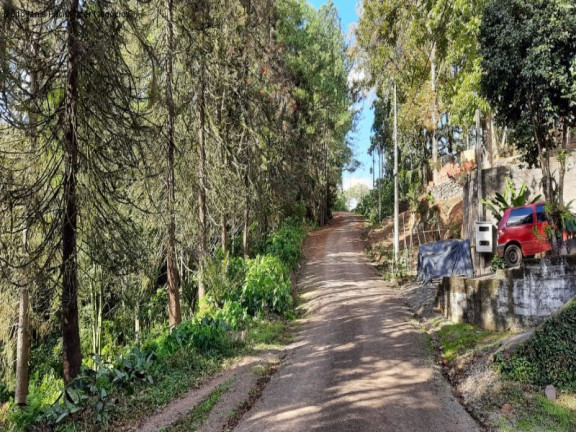 Imagem Casa com 3 Quartos à Venda, 169 m² em Piá - Nova Petrópolis