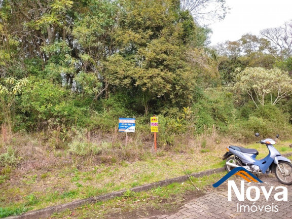 Imagem Imóvel à Venda, 1.636 m² em Pousada Da Neve - Nova Petrópolis