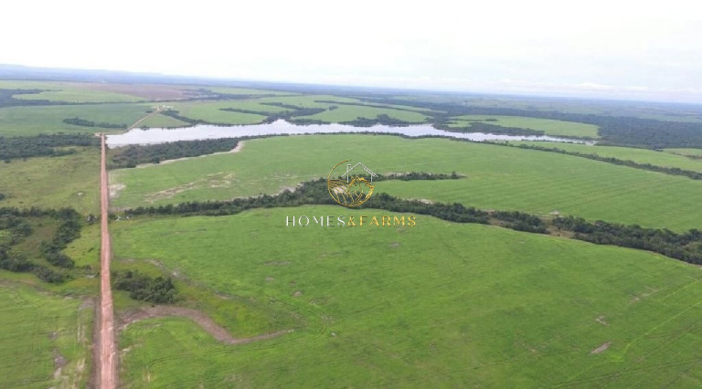 Imagem Imóvel com 12 Quartos à Venda, 12.000 m² em Centro - Tocantins Imagem Imóvel com 12 Quartos à Venda, 12.000 m² em Centro - Tocantins