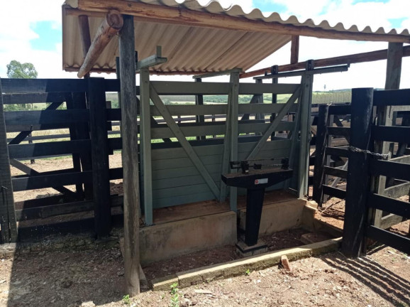 Fazenda à Venda, 113 m² em Rural - Paranapanema