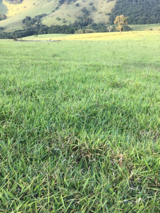 Imagem Imóvel à Venda,  em Zona Rural - Estiva