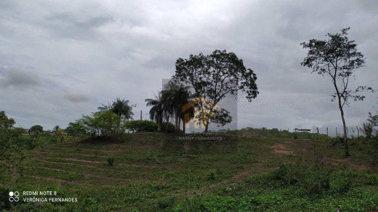 Imagem Fazenda à Venda, 160.000 m² em Rural - Paudalho Imagem Fazenda à Venda, 160.000 m² em Rural - Paudalho