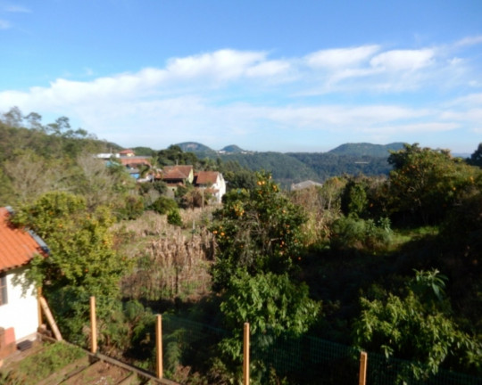 Imagem Imóvel com 5 Quartos à Venda, 301 m² em Logradouro - Nova Petrópolis Imagem Imóvel com 5 Quartos à Venda, 301 m² em Logradouro - Nova Petrópolis