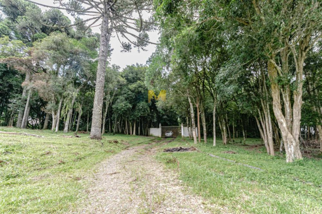 Imagem Chácara com 2 Quartos à Venda, 107 m² em Capoeira Dos Dinos - Piraquara