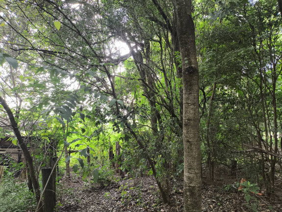 Imagem Chácara com 1 Quarto à Venda, 6 m² em Jundiaquara - Araçoiaba Da Serra Imagem Chácara com 1 Quarto à Venda, 6 m² em Jundiaquara - Araçoiaba Da Serra