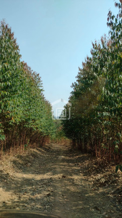 Imagem Imóvel à Venda, 24 m² em Pocinhos Do Rio Verde (rural) - Caldas Imagem Imóvel à Venda, 24 m² em Pocinhos Do Rio Verde (rural) - Caldas