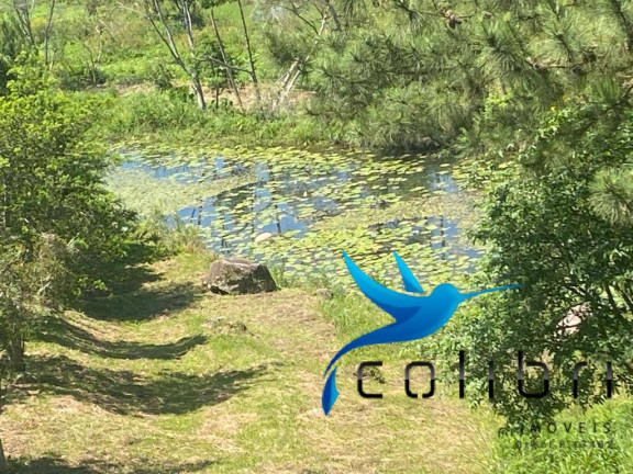 Imagem Chácara com 6 Quartos à Venda, 34.000 m² em Leão - Agudos Do Sul