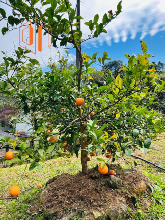 Imagem Imóvel à Venda, 10.000 m² em Contenda - São José Dos Pinhais