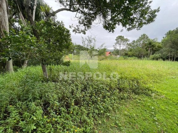 Imagem Terreno à Venda, em Praia Do Estaleiro - Balneario Camboriu Imagem Terreno à Venda, em Praia Do Estaleiro - Balneario Camboriu