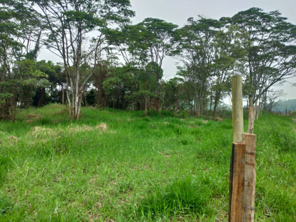 Imagem Terreno à Venda, em Ipiabas - Barra Do Piraí Imagem Terreno à Venda, em Ipiabas - Barra Do Piraí