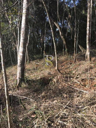 Imagem Terreno à Venda, 1.500 m² em Mairiporã - Mairiporã Imagem Terreno à Venda, 1.500 m² em Mairiporã - Mairiporã