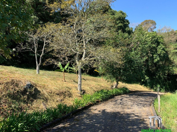 Imagem Imóvel com 4 Quartos à Venda, 6.000 m² em Pitangueiras - Pedra Bela