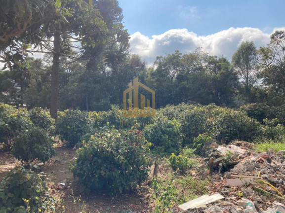 Imagem Terreno à Venda, 2.080 m² em Vila Santa Terezinha - Loteamento Vila Santo Onofre - Campo Largo Imagem Terreno à Venda, 2.080 m² em Vila Santa Terezinha - Loteamento Vila Santo Onofre - Campo Largo