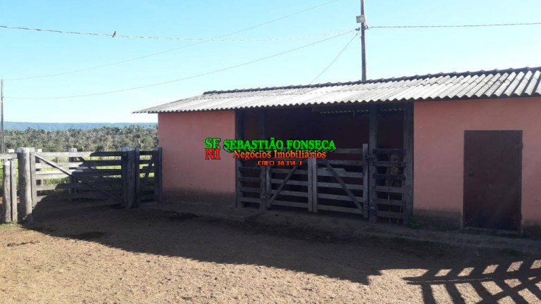 Imagem Fazenda à Venda, 1.200 m² em área Rural De Xinguara - Xinguara