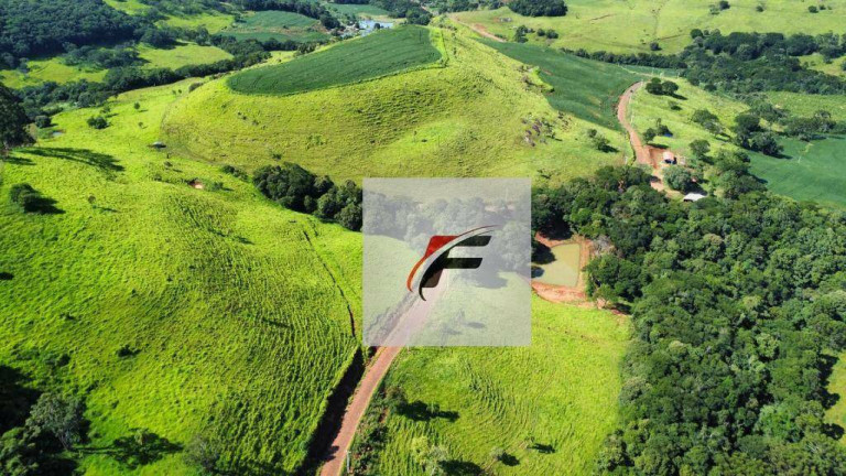 Imagem Fazenda à Venda, 471.900 m² em Zona Rural - Palmital Imagem Fazenda à Venda, 471.900 m² em Zona Rural - Palmital