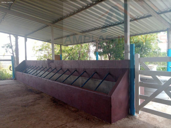 Imagem Fazenda à Venda, 98 m² em Esmeraldas Imagem Fazenda à Venda, 98 m² em Esmeraldas