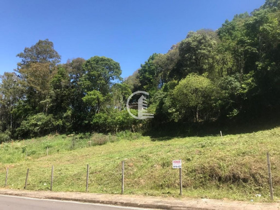 Imagem Terreno à Venda, 360 m² em Santa Corona - Caxias Do Sul Imagem Terreno à Venda, 360 m² em Santa Corona - Caxias Do Sul