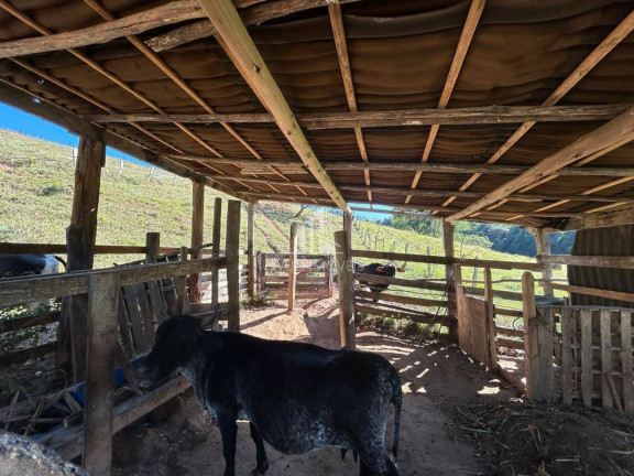 Imagem Fazenda à Venda, 10.000 m² em Fazenda Jacaré - Santa Branca Imagem Fazenda à Venda, 10.000 m² em Fazenda Jacaré - Santa Branca