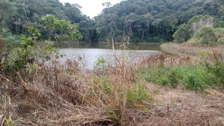 Imagem Imóvel com 2 Quartos à Venda, 187.000 m² em Palmeiras - Juquitiba