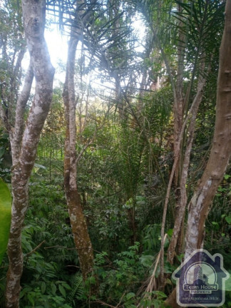 Imagem Imóvel com 4 Quartos à Venda, 172 m² em Parque Alvorada - Suzano