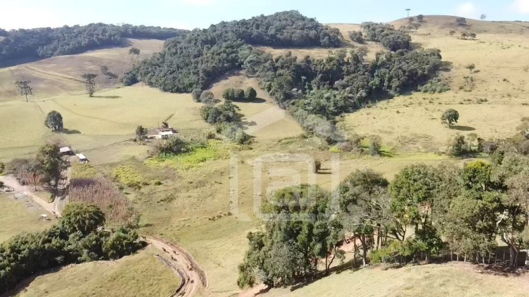 Imagem Imóvel à Venda, 7 m² em Campestrinho - Divinolândia Imagem Imóvel à Venda, 7 m² em Campestrinho - Divinolândia