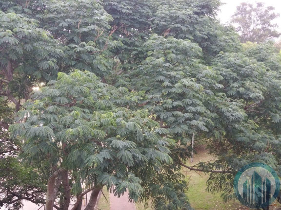 Imagem Apartamento com 3 Quartos à Venda, 113 m² em Vila Assunção - Santo André Imagem Apartamento com 3 Quartos à Venda, 113 m² em Vila Assunção - Santo André