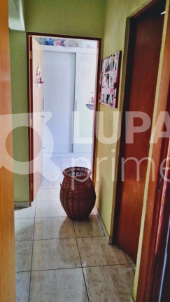Imagem Casa com 4 Quartos para Alugar, 52 m² em Vila Maria Alta - São Paulo Imagem Casa com 4 Quartos para Alugar, 52 m² em Vila Maria Alta - São Paulo