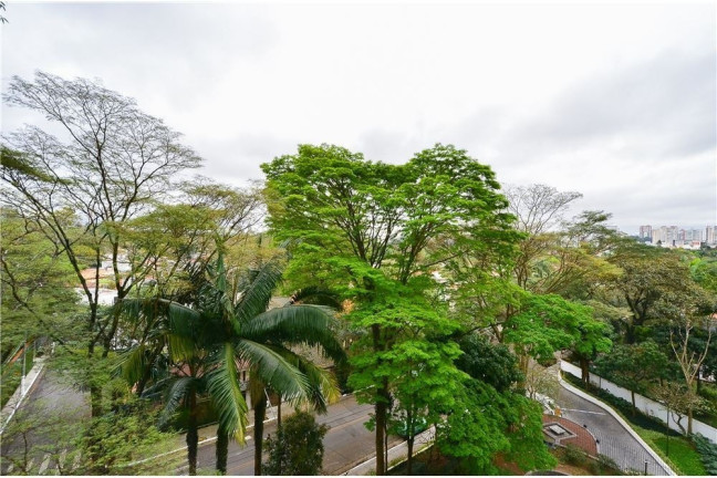Imagem Apartamento com 3 Quartos à Venda, 193 m² em Granja Julieta - São Paulo