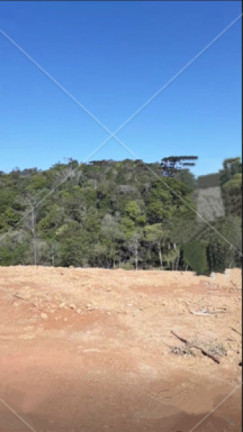 Imagem Imóvel à Venda, 3.000 m² em Jardim Da Colina - Campina Grande Do Sul