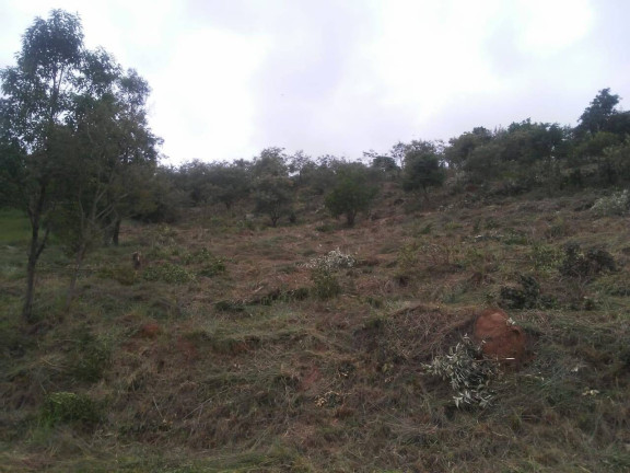 Imagem Terreno em Condomínio à Venda, 6.460 m² em Ivoturucaia - Jundiaí Imagem Terreno em Condomínio à Venda, 6.460 m² em Ivoturucaia - Jundiaí