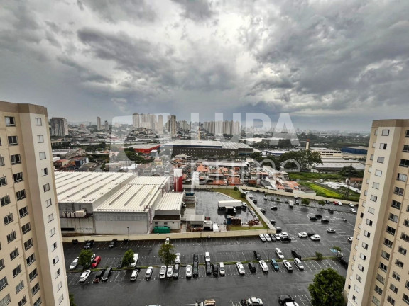 Imagem Apartamento com 2 Quartos para Alugar, 45 m² em Ponte Grande - Guarulhos Imagem Apartamento com 2 Quartos para Alugar, 45 m² em Ponte Grande - Guarulhos