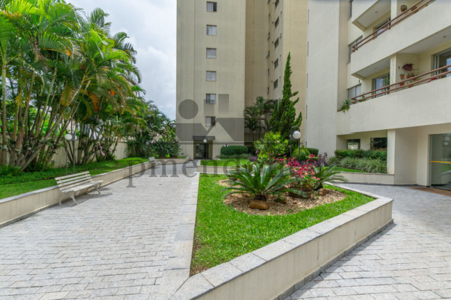 Imagem Apartamento com 3 Quartos à Venda, 78 m² em Bela Vista - São Paulo Imagem Apartamento com 3 Quartos à Venda, 78 m² em Bela Vista - São Paulo