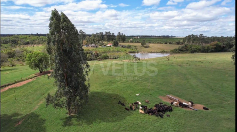 Imagem Imóvel à Venda, em Avaré - Avare Imagem Imóvel à Venda, em Avaré - Avare