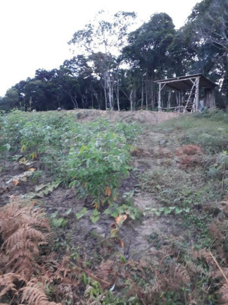 Imagem Fazenda à Venda, 300 m² em Gaspar Imagem Fazenda à Venda, 300 m² em Gaspar