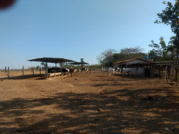 Imóvel com 3 Quartos à Venda, 1.000 m² em Zona Rural - Baldim