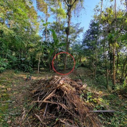Imagem Terreno à Venda, 400 m² em Boiçucanga - São Sebastião Imagem Terreno à Venda, 400 m² em Boiçucanga - São Sebastião