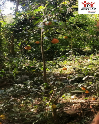 Imóvel à Venda, 1.460 m² em Ville Saint James I - Campo Limpo Paulista