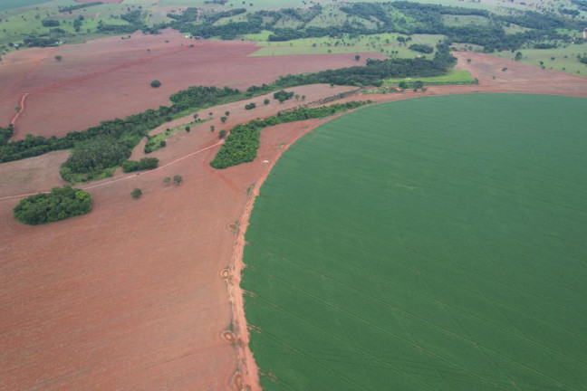 Imagem Fazenda à Venda, 60 m² em Zona Rural - Morrinhos Imagem Fazenda à Venda, 60 m² em Zona Rural - Morrinhos