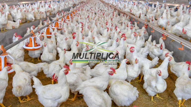 Fazenda à Venda, 48 m² em área Rural De Uberlândia - Uberlândia