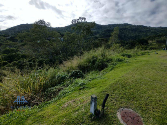 Imagem Terreno à Venda, 533 m² em Itacorubi - Florianópolis