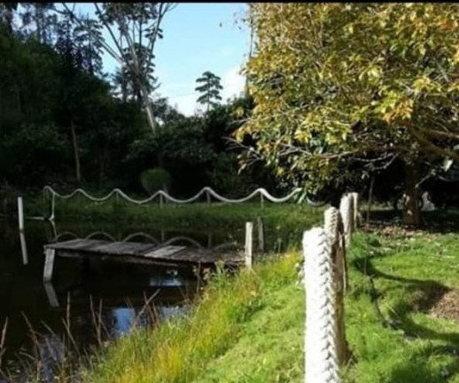 Imagem Imóvel com 5 Quartos à Venda, 500 m² em Domingos Martins - Domingos Martins Imagem Imóvel com 5 Quartos à Venda, 500 m² em Domingos Martins - Domingos Martins