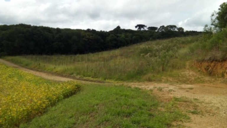 Imagem Terreno à Venda, 37.458 m² em Campo Magro - Campo Magro Imagem Terreno à Venda, 37.458 m² em Campo Magro - Campo Magro