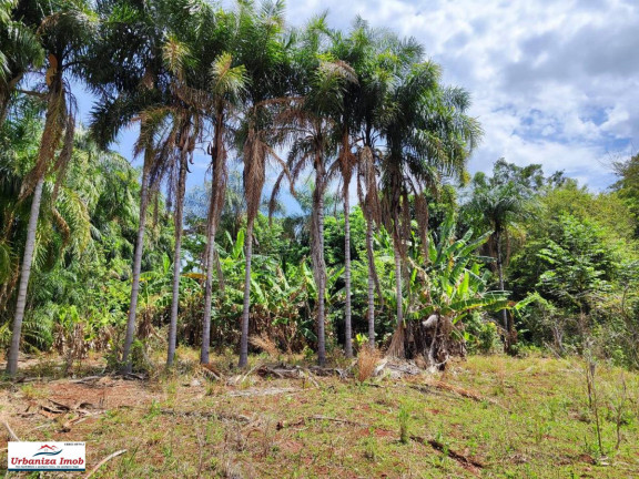 Imagem Chácara com 2 Quartos à Venda, 42 m² em Bandeirantes Imagem Chácara com 2 Quartos à Venda, 42 m² em Bandeirantes