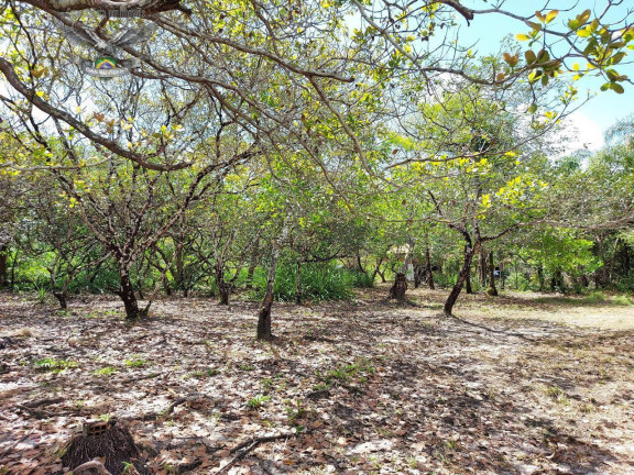 Imagem Terreno à Venda, 23.000 m² em Marapanim Imagem Terreno à Venda, 23.000 m² em Marapanim