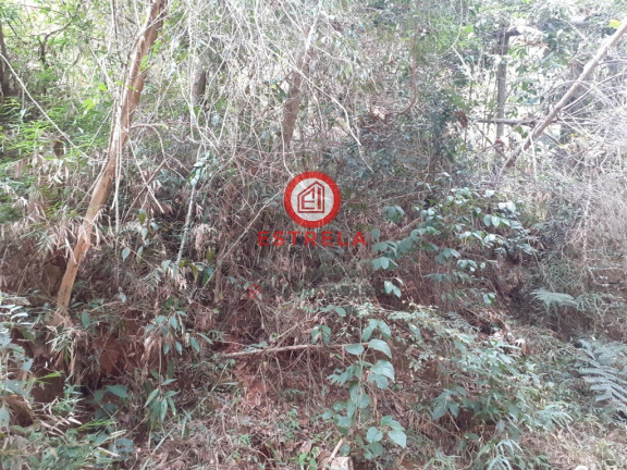 Terreno à Venda, 1.510 m² em Recreio Eldorado Do Vale - Santa Branca