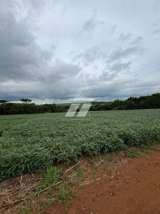 Fazenda à Venda,  em Cascavel